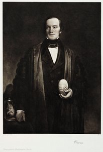 Sir Richard Owen, Engelse natuuronderzoeker en paleontoloog, ca. 1845