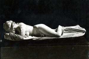 Slapende Hermafrodiet
