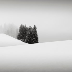 Sneeuwverhalen Oasis, Beieren, Duitsland, 2013