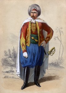 Spahis