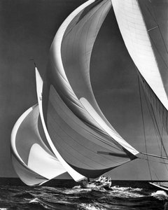 Spinakers op racezeilboten