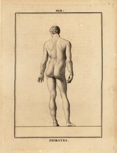 Standbeeld van Orestes, naakt, zoon van Agamemnon in de Griekse mythologie door Unbekannt