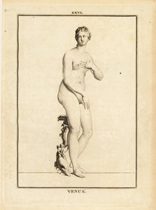 Standbeeld van Venus, Romeinse godin van liefde, schoonheid, seks en vruchtbaarheid door Unbekannt