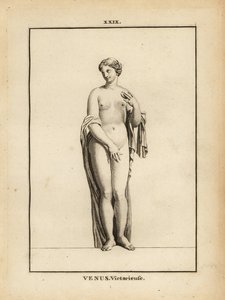 Standbeeld van Venus Victrix, Romeinse godin van liefde, schoonheid, seks en vruchtbaarheid