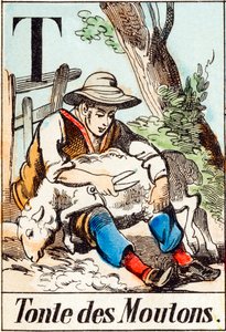 T Scheren van schapen - "Alfabet van de boerderij" eind 19e eeuw (gravure) door Unbekannt