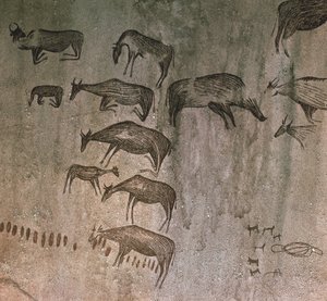Tanzania, Dodoma Regio, Rotstekeningen