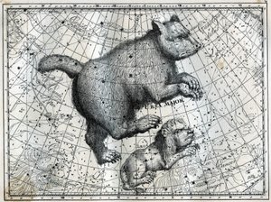 De boreale sterrenbeelden: de Grote Beer en de Kleine Leeuw. Gravure uit Camille Flammarion