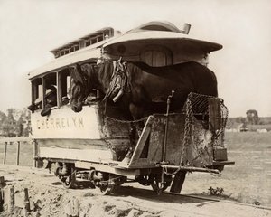 De Cherrelyn Paardenwagen, Denver, Colorado, ca. 1890 (zwart-wit foto) door Nicolas Liez