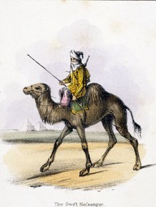 De Snelle Boodschapper