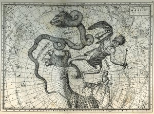 De nabije sterrenbeelden van de Noordpool: Kleine Beer, Draak, Cepheus, Giraffe, Rendier en Messier. Gravure uit Camille Flammarion