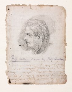 Thomas Henry Huxley, Engelse bioloog, midden-late 19e eeuw