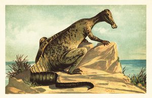 Trachodon mirabilis, uitgestorven hadrosauriër door Unbekannter Künstler