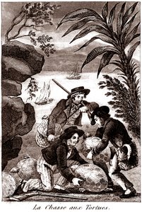 Schildpaddenjacht
