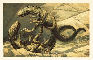 Twee vechtende Dryptosaurus aquilunguis. 1908 (lithografie) door Unbekannter Künstler