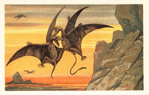 Twee pterodactylen vechten in de lucht tegen een karmozijnrode hemel door Unbekannter Künstler