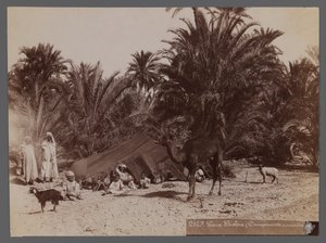 Uitzicht vanaf een locatie in Noord-Afrika - Nomadenkamp (albumine fotografische print) door Unbekannt