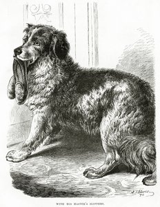 Met de pantoffels van zijn meester (1902) door Unbekannt