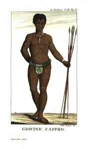 Jonge San man, met speren, Zuid-Afrika. Uit Francois Le Vaillant (Levaillant door Unbekannter Künstler