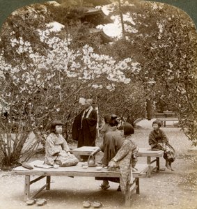 Een familie geniet van een picknick onder de kersenbloesems, Omuro Gosho, Kyoto, Japan, 1904 door Underwood and Underwood