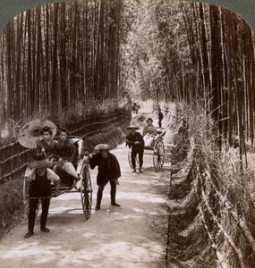 Bamboe laan, kijkend naar het zuidwesten, nabij Kiyomizu, Kyoto, Japan
