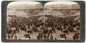 Veemarkt dag, in de onderste poel van Gihon, Vallei van Hinnom, Jeruzalem, Palestina, 1900 door Underwood and Underwood