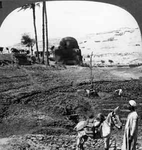 Klipgraven van de heren van Assiut, Egypte, 1905 door Underwood and Underwood