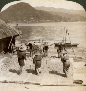 Gersten dorsen naast een vissersstrand aan de Binnenzee, Japan, 1904 door Underwood and Underwood