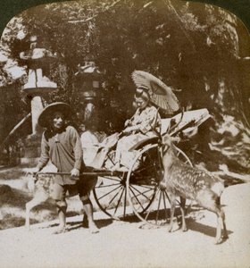 Meisje dat Heilige Herten Voert op Weg naar Gebeden, Gronden van de Kasuga Tempel, Nara, Japan door Underwood and Underwood