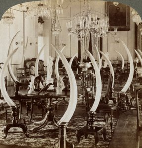 Hal van Slagtanden, in het huis van Lady de Soysa, Bambalapitiya, Colombo, Ceylon door Underwood and Underwood