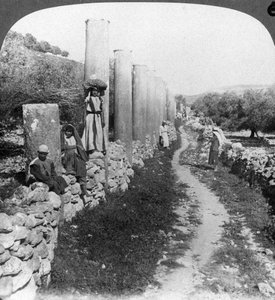 Herods straat van zuilen, Samaria, Palestina Israël, 1905 door Underwood and Underwood