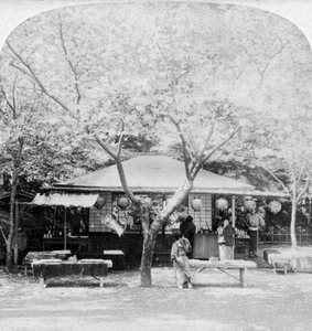 In het hart van het bloemenrijk, Nara, Japan, 1896 door Underwood and Underwood