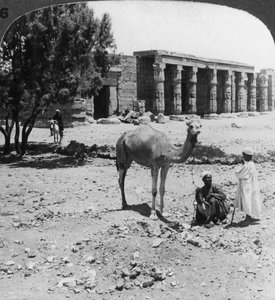 Kijkend naar het noorden naar de tempel van Sethos I, Thebe, Egypte, 1905
