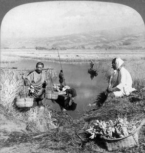 Mannen die Riet Verzamelden bij Suzukawa, Fujiyama, Japan door Underwood and Underwood