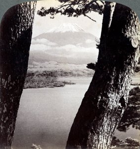 Mount Fuji, gezien vanuit het noordwesten, door dennen bij Lake Motosu, Japan, 1904 door Underwood and Underwood