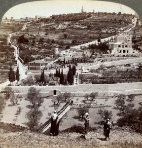 De Tuin van Gethsemane en de Olijfberg, Palestina, 1908