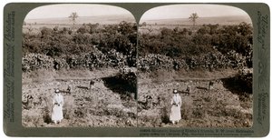 Het noordwestelijke uitzicht vanaf Shunem, over de Vlakte van Esdraelon, richting Karmel, 1900s door Underwood and Underwood