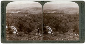 De vlakte van Dothan, Palestina, 1900 door Underwood and Underwood