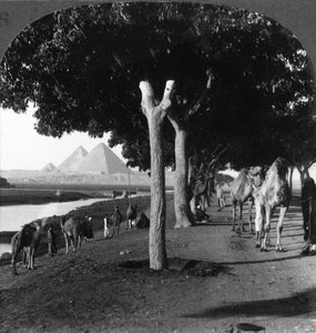 De weg naar de piramides, Gizeh, Egypte, 1905 door Underwood and Underwood