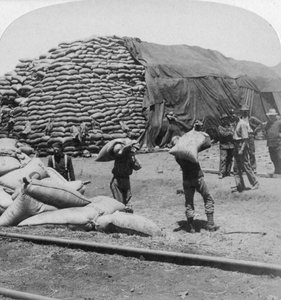 Tonnen haver voor Tommys trouwe vriend, De Aar, Zuid-Afrika, Boerenoorlog, 1900 door Underwood and Underwood