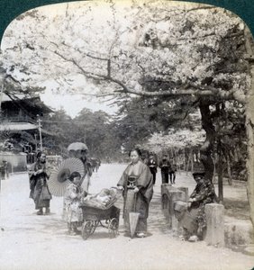 Onder de kersenbloesems, kijkend naar het noordoosten langs de hoofdlaan van Shiba Park, Tokio, Japan, 1904 door Underwood and Underwood