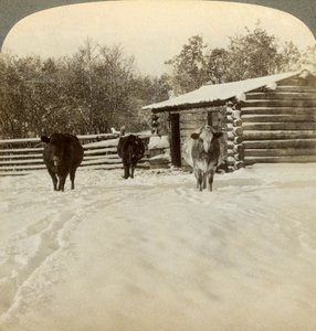 Winter op een ranch, Montana, VS door Underwood and Underwood