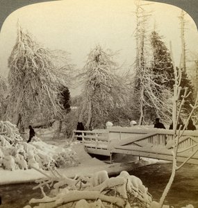 Winterscène, Luna Island, Niagara Falls, New York, VS door Underwood and Underwood
