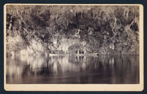 [Onder de Bluffs van de Withlacoochee Rivier, Florida]. door Unidentified