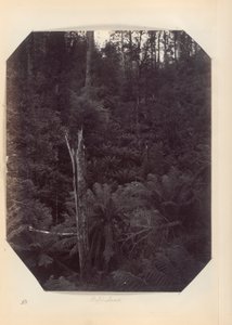 Australië - (Victoria en Zuid-Australië)