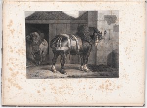 Zwart paard buiten een stal door Unknown