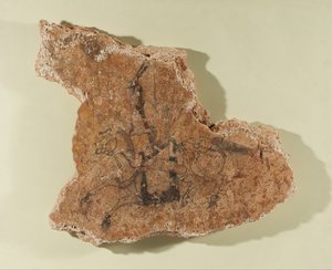 Fragment van een muurschildering met een ruiter
