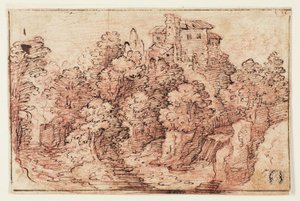 Landschap: Huis op beboste heuvel