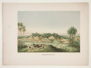 Noordkust van Samarang