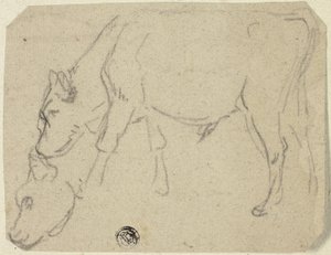Schetsen van grazende stier, koeienkop (recto); zittende koe in profiel (verso) door Unknown