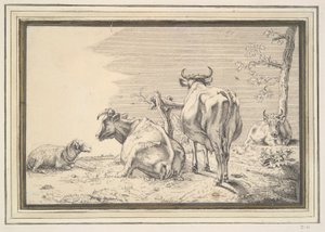 Drie koeien en een schaap
